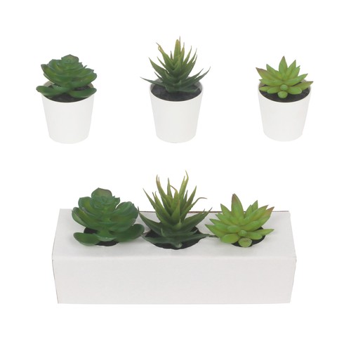 Set de 3 plantas suculentas artificiales en caja, ALCAMPO.