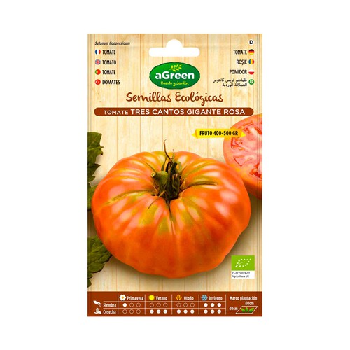Semillas ecológicas para sembrar tomates de la variedad Tres cantos gigante rosa HA-HUERTO Y JARDÍN 1 sobre.
