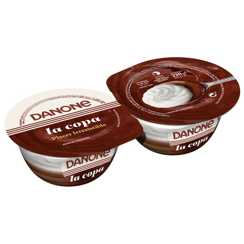 Copa de chocolate y cremosa nata DANONE 2 x 110 g.