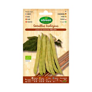 Imagen de Semillas para sembrar judias verdes de la variedad Helda HA-HUERTO Y JARDÍN.