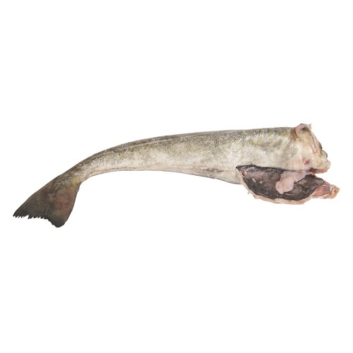 Bacalao mostrador - Rodajas