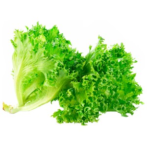 Imagen de Escarola rizada 1 Unidad