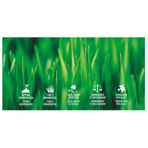 Caja de 1 kilogramo con semillas para plantar cesped para zonas sombrias o con poca luz PRODUCTO ALCAMPO.