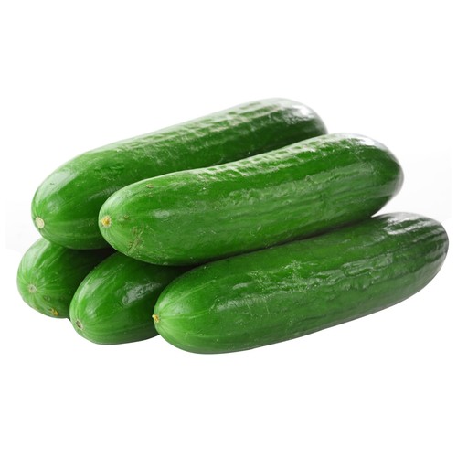 Pepino corto a granel 1.000 Gramos Aproximados