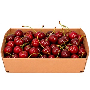 ALCAMPO CULTIVAMOS LO BUENO Cerezas, bandeja 500 g.