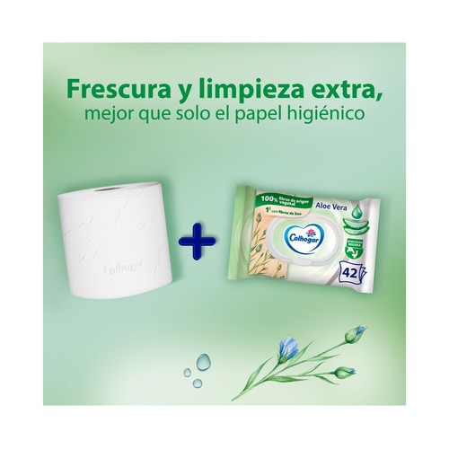 COLHOGAR Papel higiénico húmedo 42 uds.