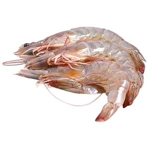 Langostino crudo calibre 60-80.