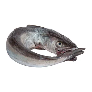 Merluza volanta mostrador. - Entera limpia