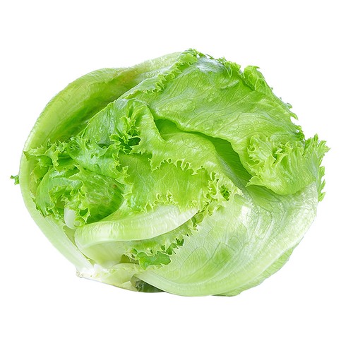 Lechuga iceberg ecológica 1ud.