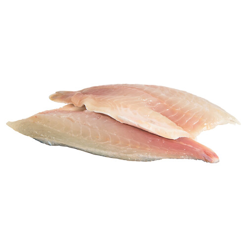 Dorada mostrador