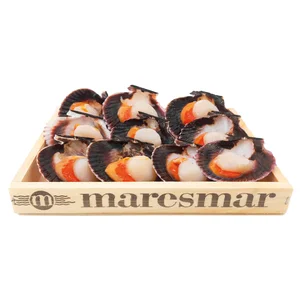 MARESMAR Vieira media concha caja de 10 unidades