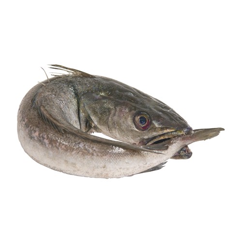 Merluza pincho mostrador de lonja local - Filetes