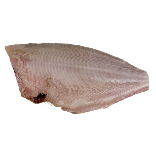 Palometa mostrador. - Rodajas