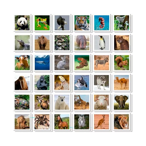 EDUCA Juego educativo Identic Memo Game Animals +6 Años