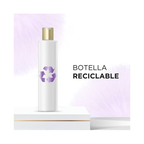 PANTENE Pro-v miracle sedoso y brillante Champú reparador para cabellos seocs, dañados o con mechas 250 ml.