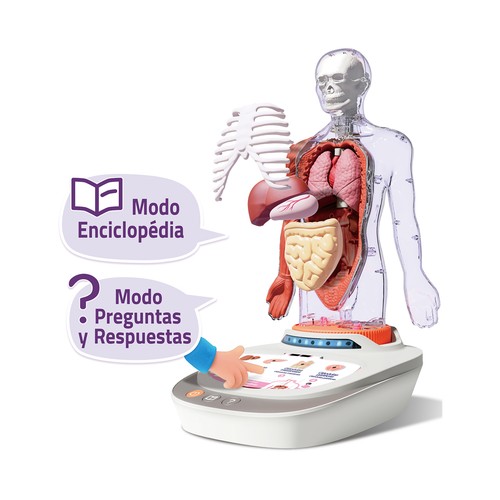 El Cuerpo Humano de 6 a 12 Años SCIENCE CAN
