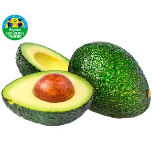 ALCAMPO CULTIVAMOS LO BUENO Aguacate nacional madurado en árbol 2 uds.