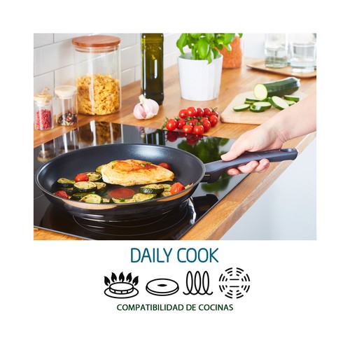 Sartén de 28 centímetros antiadherente de acero inoxidable, apta para inducción, Daily Cook Titanium, TEFAL.