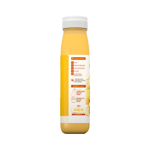 FRUCTIS Hair food de Garnier Champú ultra nutritivo con banana, para cabellos secos 350 ml.