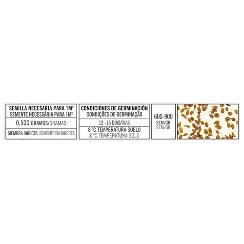 Sobre de semillas para sembrar zanahorias de la variedad Nantesa 5 PRODUCTO ALCAMPO.