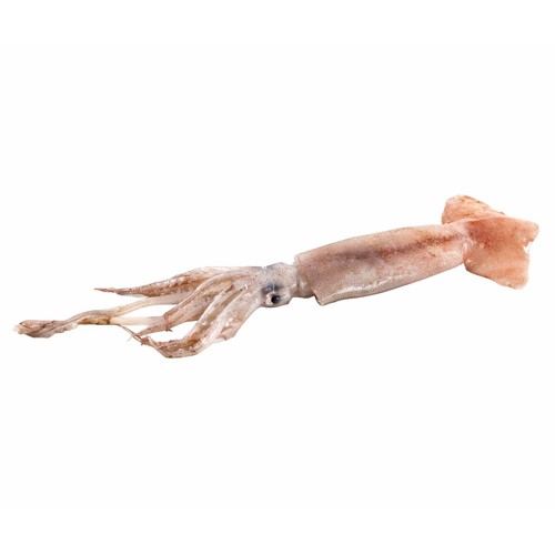 Pota fresca mostrador 300 Gramos Aproximados