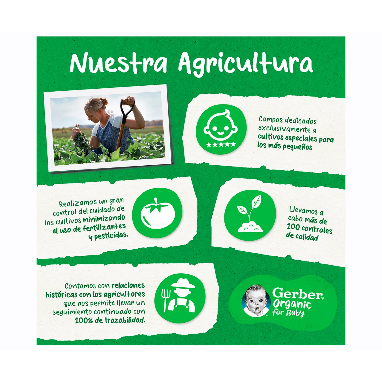 GERBER Snacks de cereales ecológios con frambuesas, a partir de 8 meses Organic grain & grow 35 g.