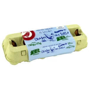 AUCHAN Huevos de gallinas sueltas en el gallinero clase L y cat. A 12 uds. Producto Alcampo