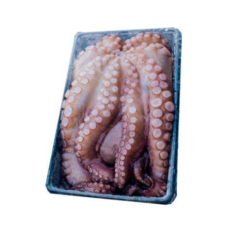Pulpo crudo
