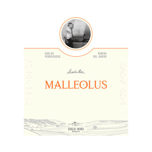 MALLEOLUS  Vino tinto crianza con D.O. Ribera del Duero botella de 75 cl.