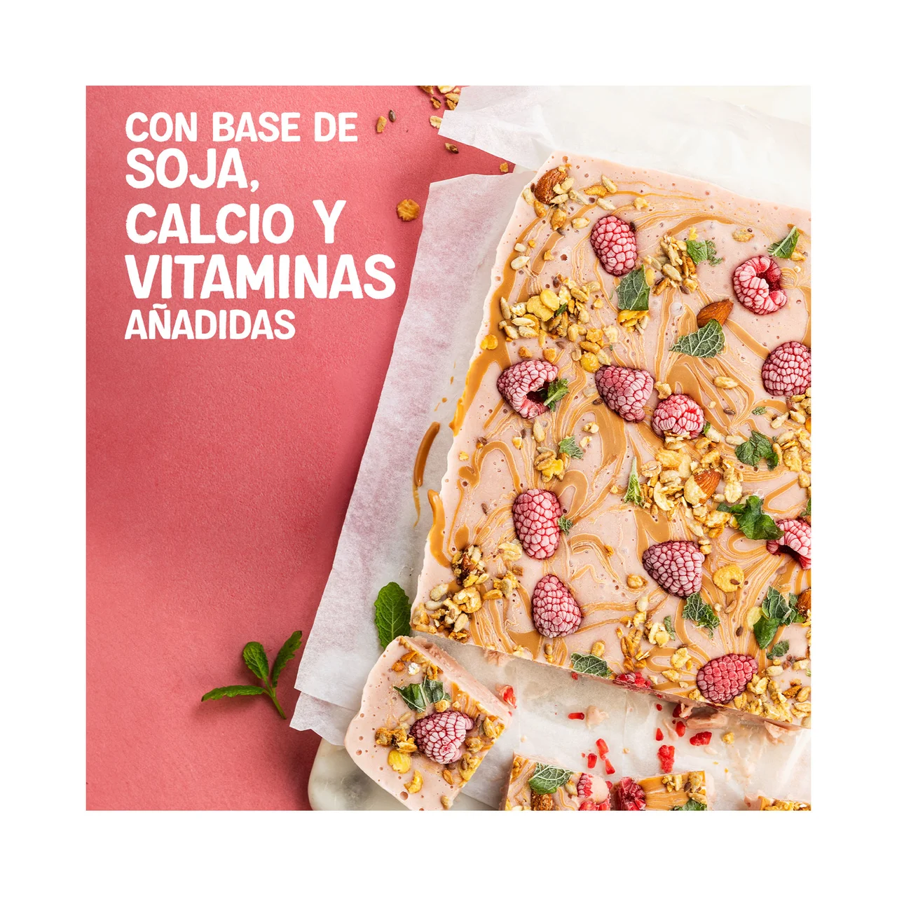 Especialidad 100% vegetal de soja con frambuesa y manzana 400 g
