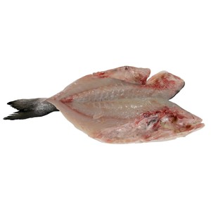 Imagen de Dorada grande mostrador - Espalda con espinas