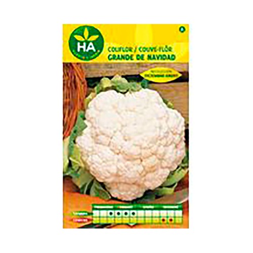Semillas coliflor grande navidad diciembre-enero, HA  HUERTO Y JARDÍN.