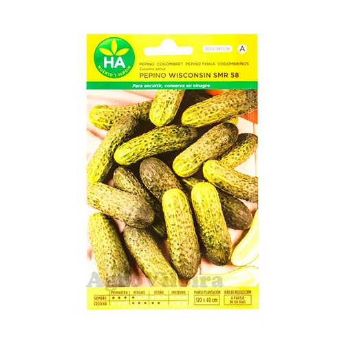Semillas de Pepino wisconsin smr 18, HA HUERTO Y JARDÍN.