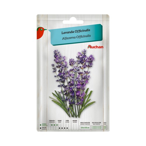 Sobre de semillas para plantar lavanda de la variedad Officinalis PRODUCTO ALCAMPO.