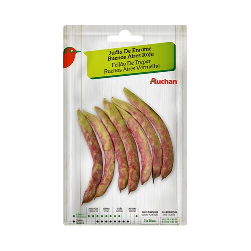 Sobre de semillas para sembrar judías de la variedad en rama de Buenos Aires roja PRODUCTO ALCAMPO.