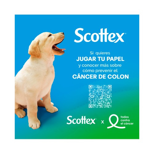 SCOTTEX Original Papel higiénico con textura Onda suave 32 rollos