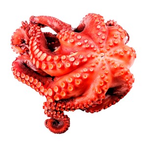 Imagen de Pulpo cocido pieza.