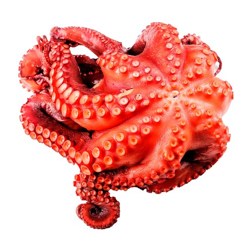 Pulpo cocido pieza 400 - 600 g aprox.