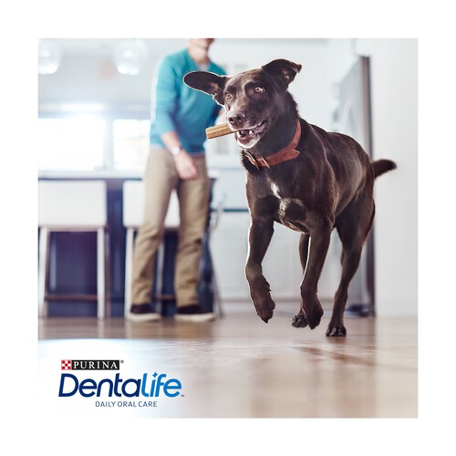 DENTALIFE Snack dental para perros grandes PURINA DENTALIFE 36 uds. 1,272 kg.