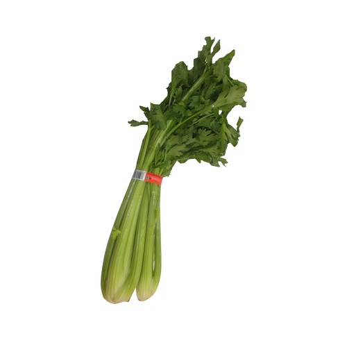 Apio verde manojo