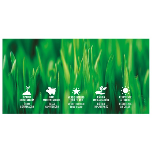 Caja de 1 kilogramo con semillas para plantar cesped rústico PRODUCTO ALCAMPO.