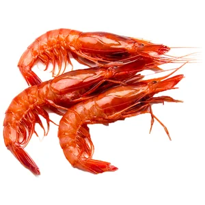 Gamba grande roja (80/100).