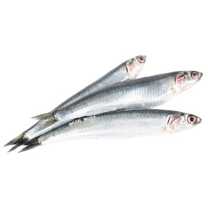 Imagen de Anchoa mostrador