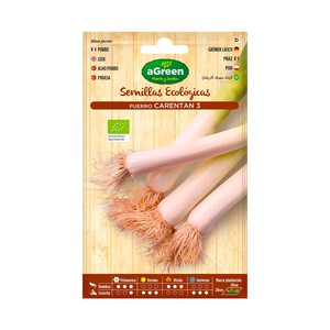 Imagen de Semillas ecológicas para sembrar puerro grueso de la variedad Caretan 3 HA-HUERTO Y JARDÍN 1.3 gramos.