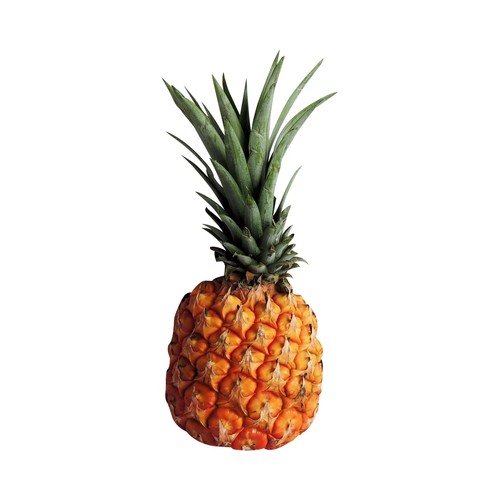 Piña del Hierro