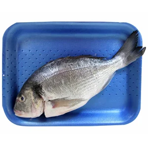 Dorada eviscerada (pieza entera)