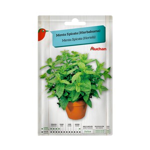 Sobre de semillas para plantar menta de la variedad Spicata (hierbabuena) PRODUCTO ALCAMPO.