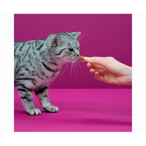 WHISKAS Snacks temptations pollo 60 gr.