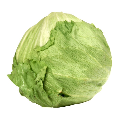 Lechuga iceberg