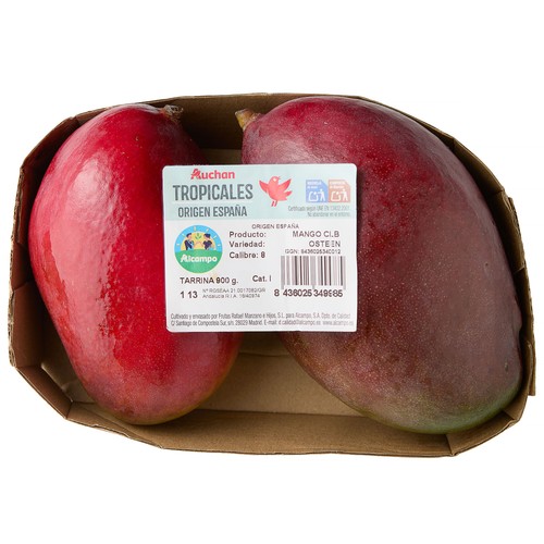 ALCAMPO CULTIVAMOS LO BUENO Mangos madurados en árbol, bandeja 920 g.